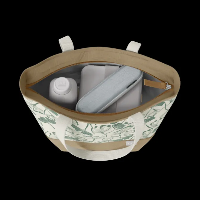 MB Daily graphic Ginkgo